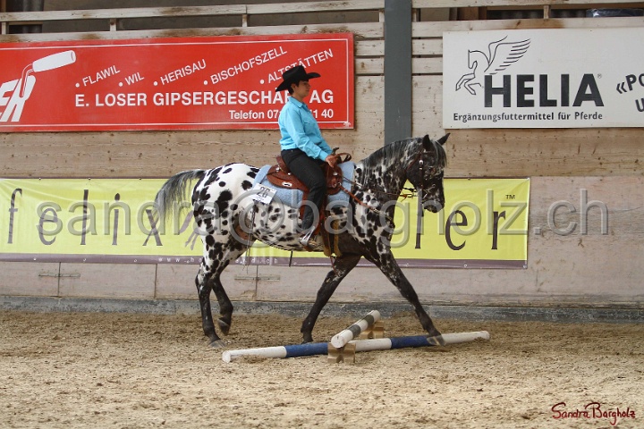 26-ApHC GT_057.jpg